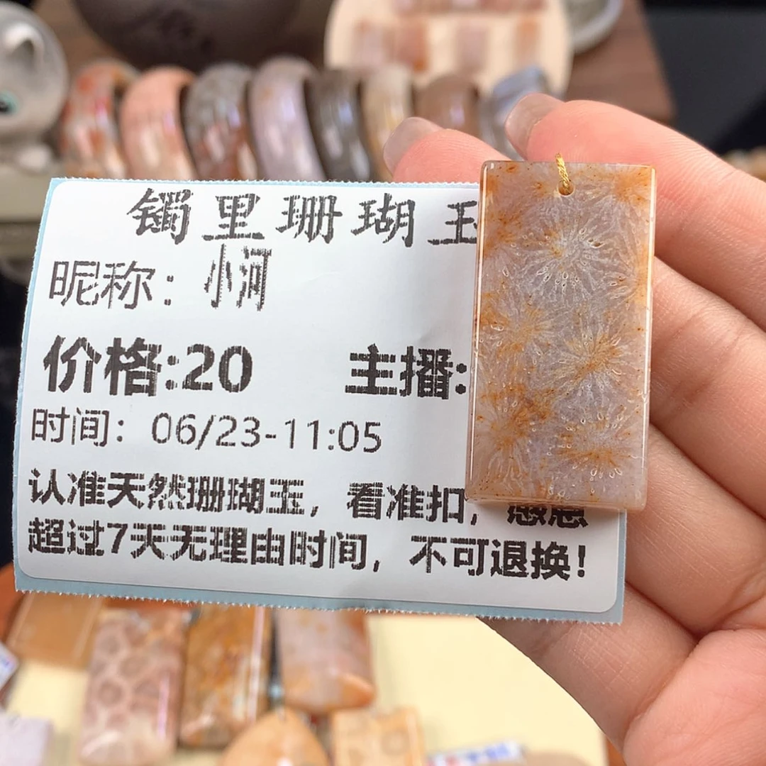 【闪购商品】硅化珊瑚（珊瑚玉）未镶嵌颈饰小*