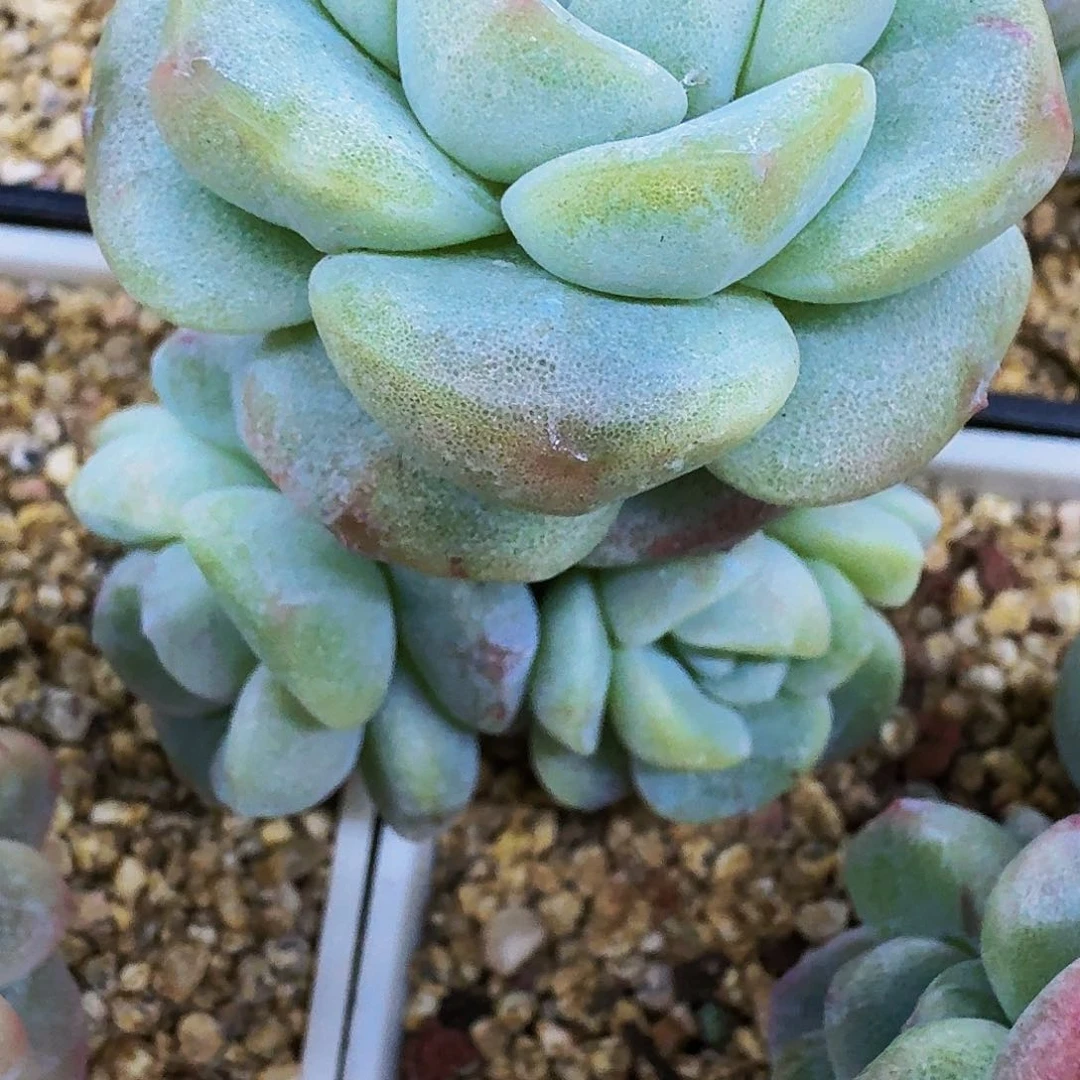 .哈哈哈哈哈哈哈哈哈哈哈