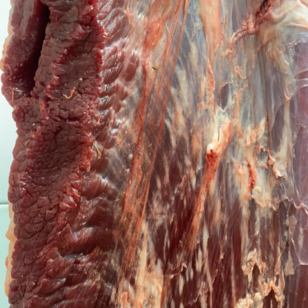 新鲜胸口肉拉面牛肉（5斤）    适合炖、红烧、卤火锅食材牛肉同城配
