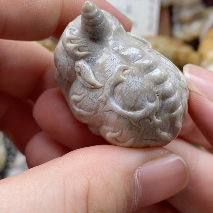 硅化珊瑚（珊瑚玉）颈饰未镶嵌