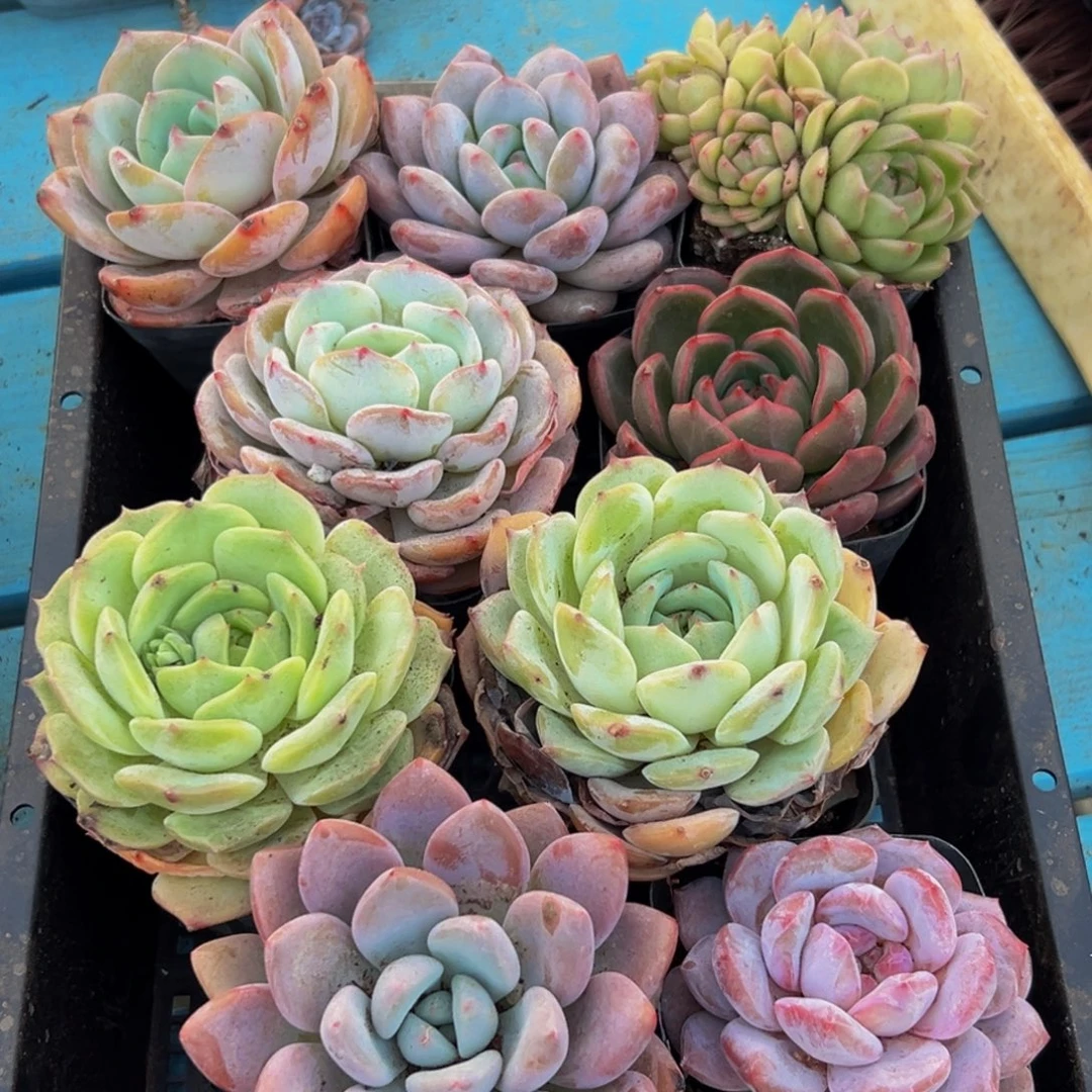 856点的点点滴滴都是多少