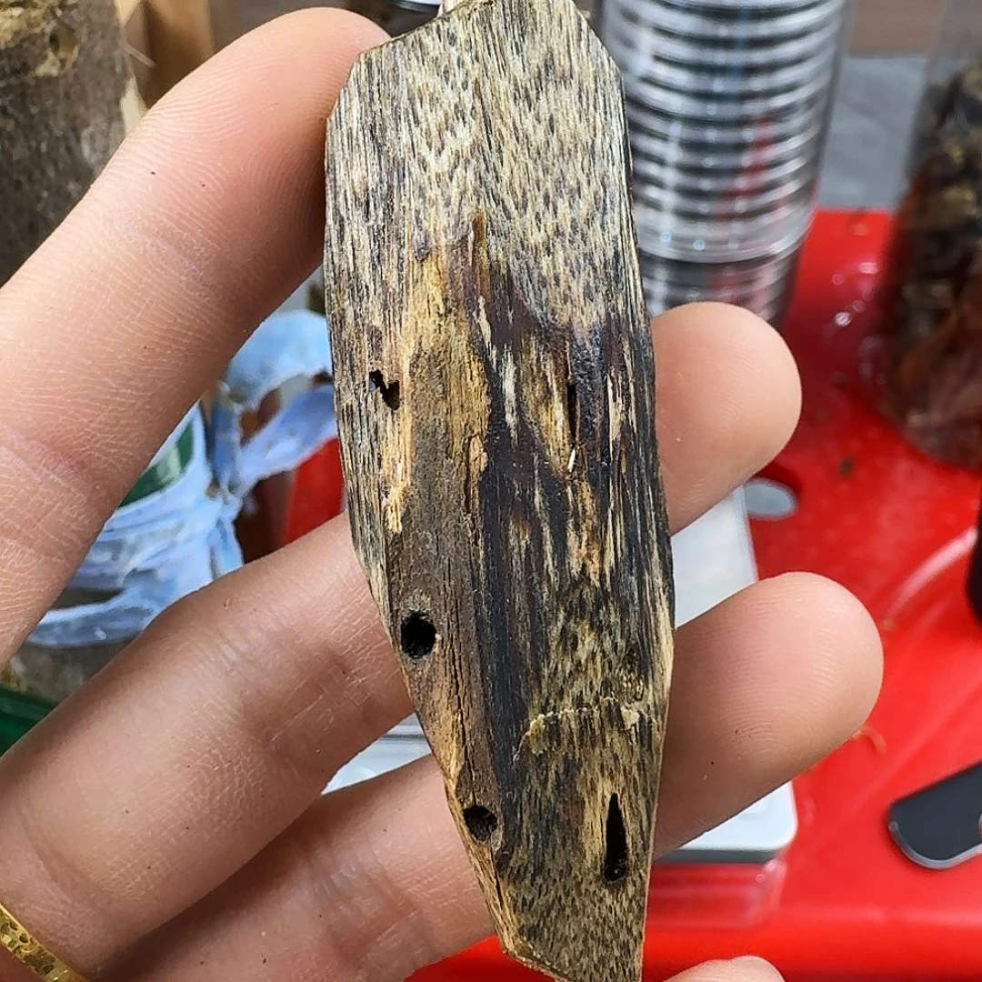 香料绿奇楠虫漏乌身圆叶7克