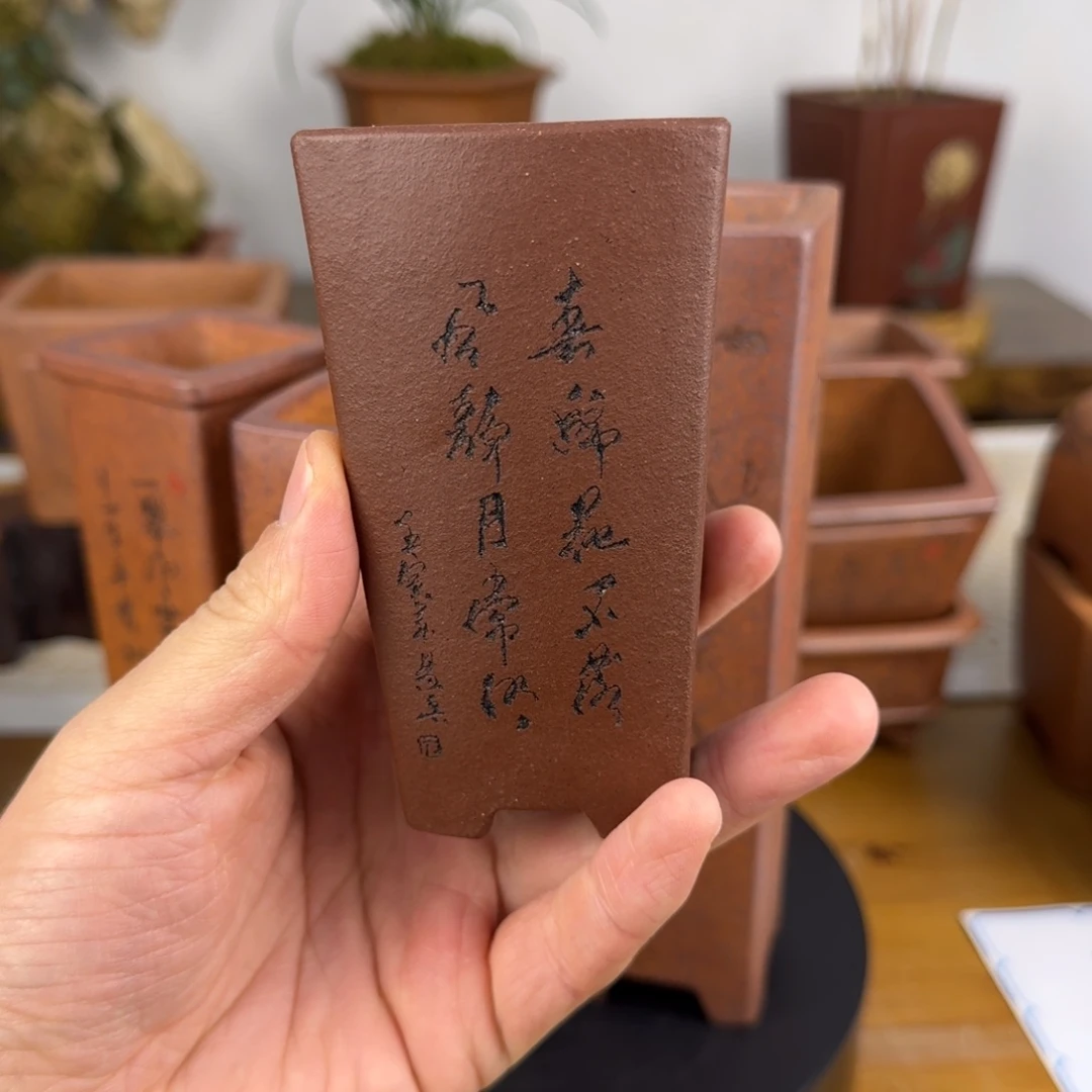 紫砂花盆紫砂花盆
