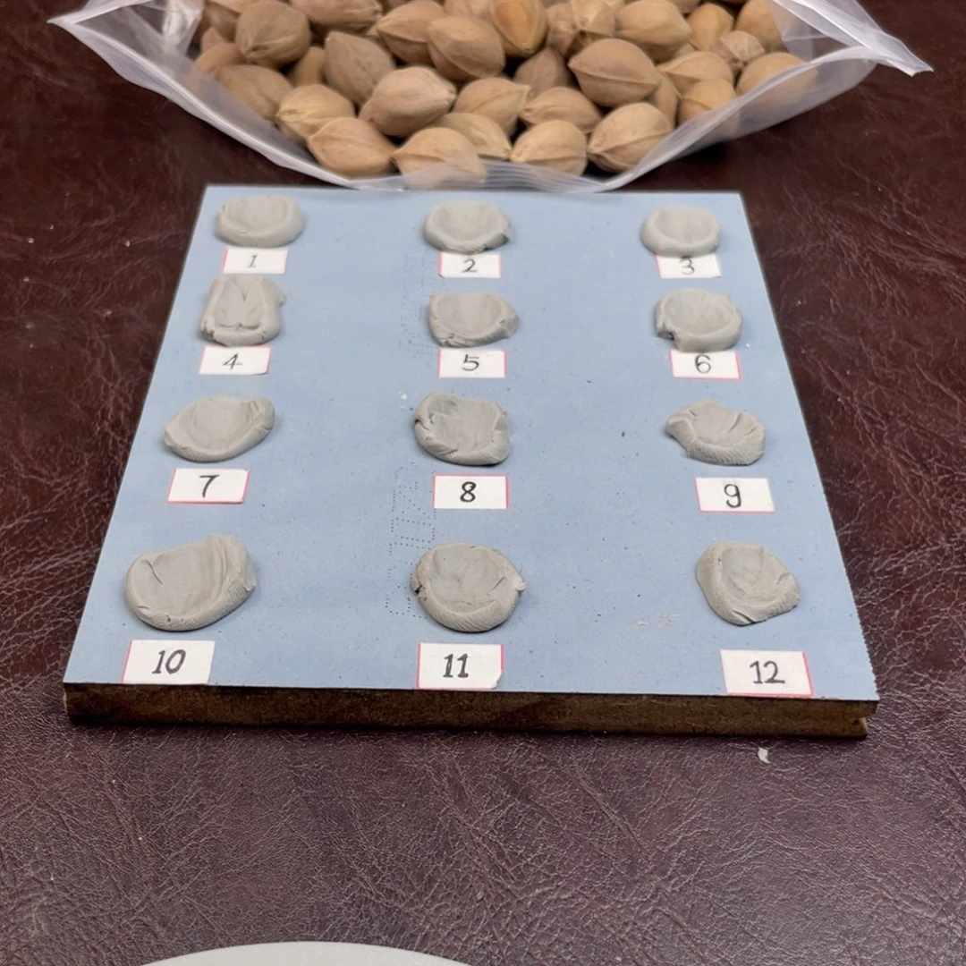 手串/手链橄榄核黑*20.25加三通梅林铁核