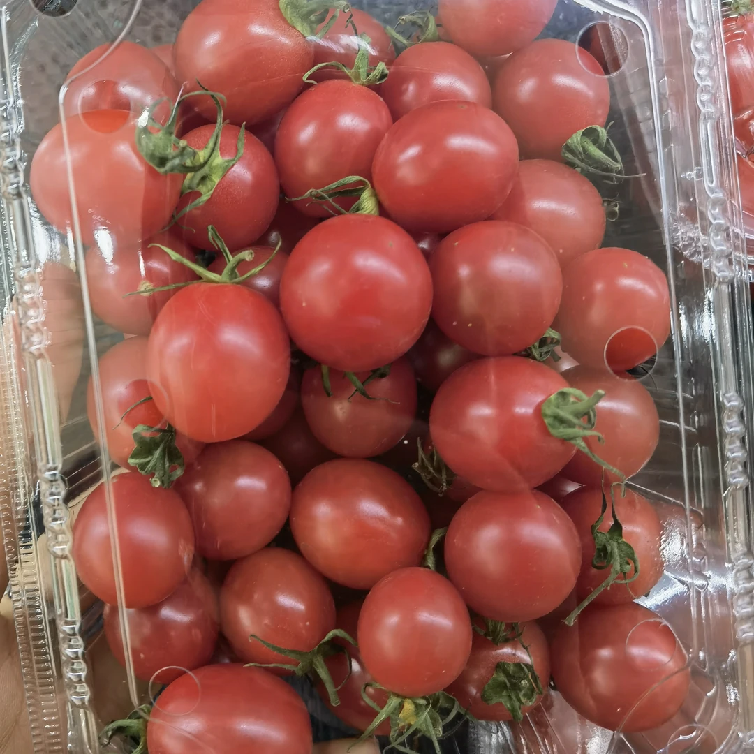 【生活馆】电白小番茄一斤