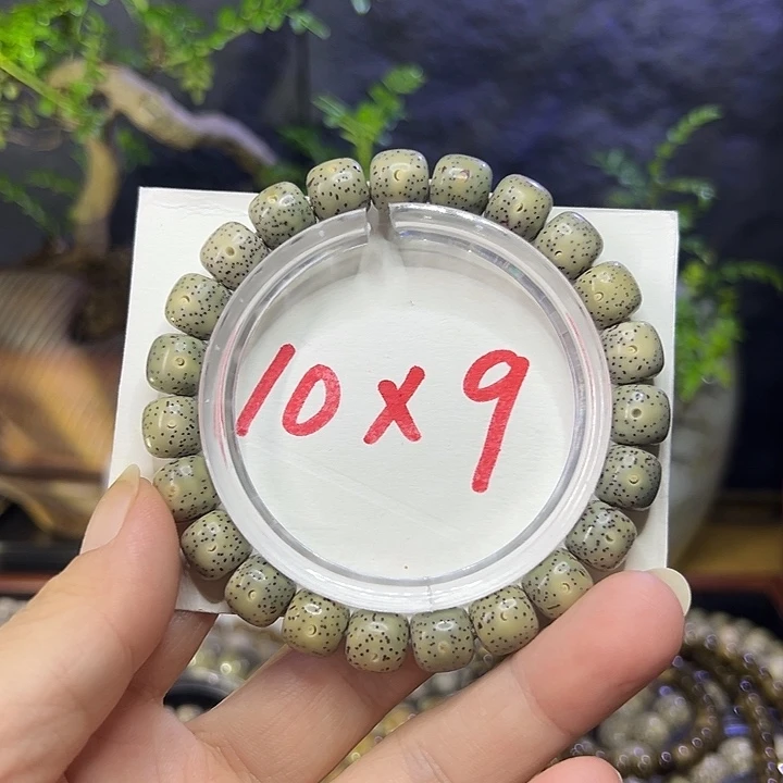 手串星月菩提海南原生生态