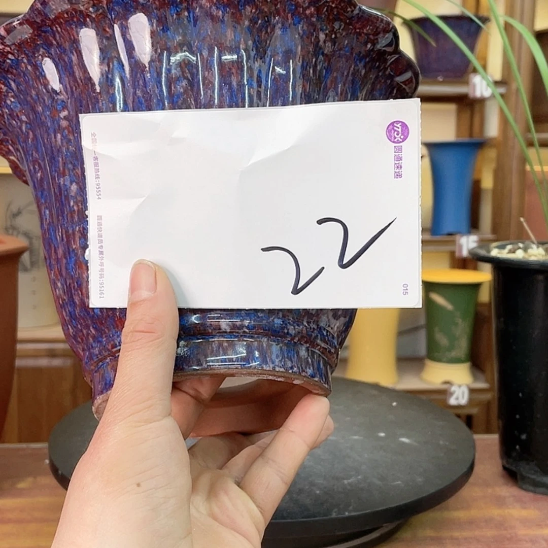 【闪购商品】紫砂花盆诺****窗兰花455584886998885255