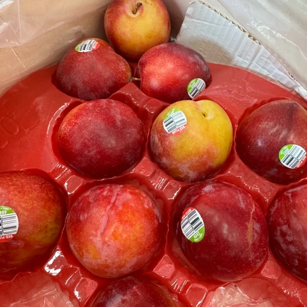 李子 智利进口 脆甜 三斤装（净重2.8） （顺丰包邮，今天拍明天一准到）