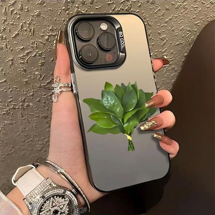 彩银kt猫柚子叶适用于苹果16ProMax手机壳15Pro苹果iPhone17女14P