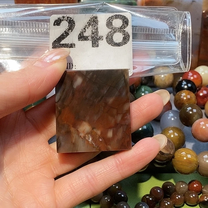 硅化玉未镶嵌天然北票树化玉吊坠