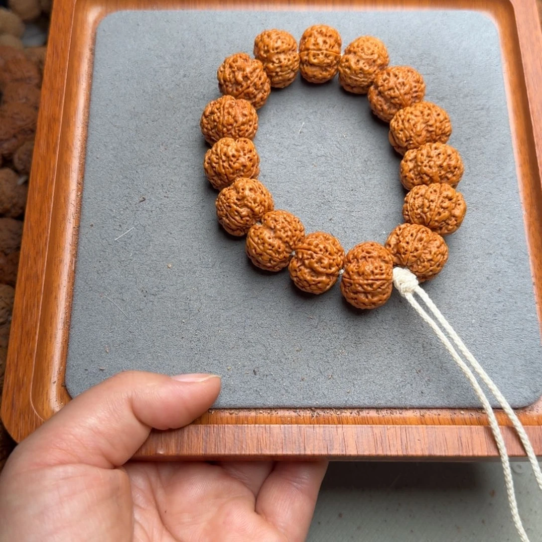 菩提菩提19号尼泊尔大金刚20方顿梅花