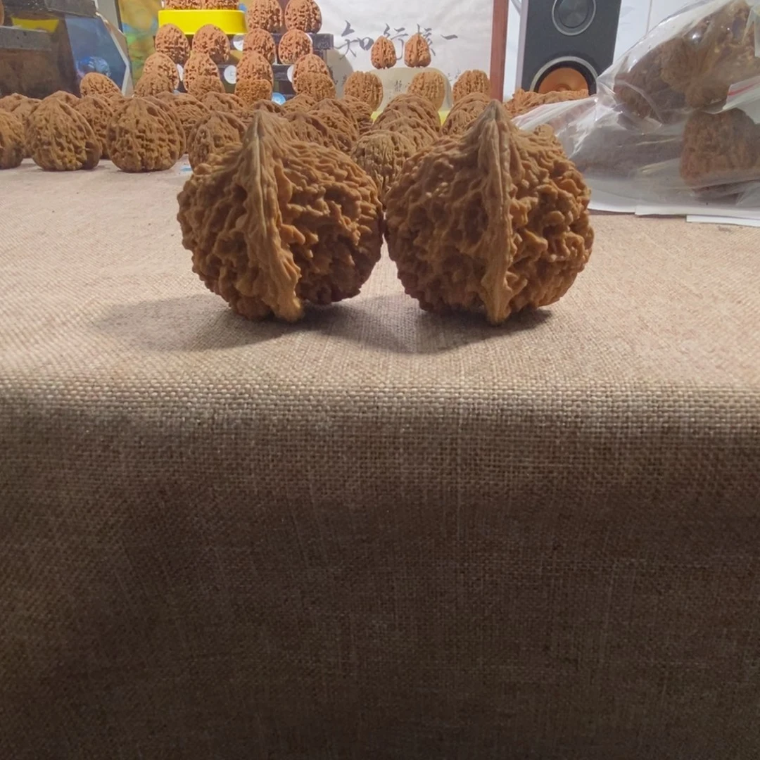 木质类47尺满天星天蚕