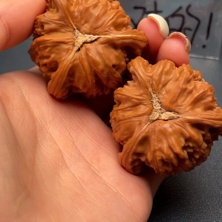এ***࿐文玩核桃吊坠白狮子