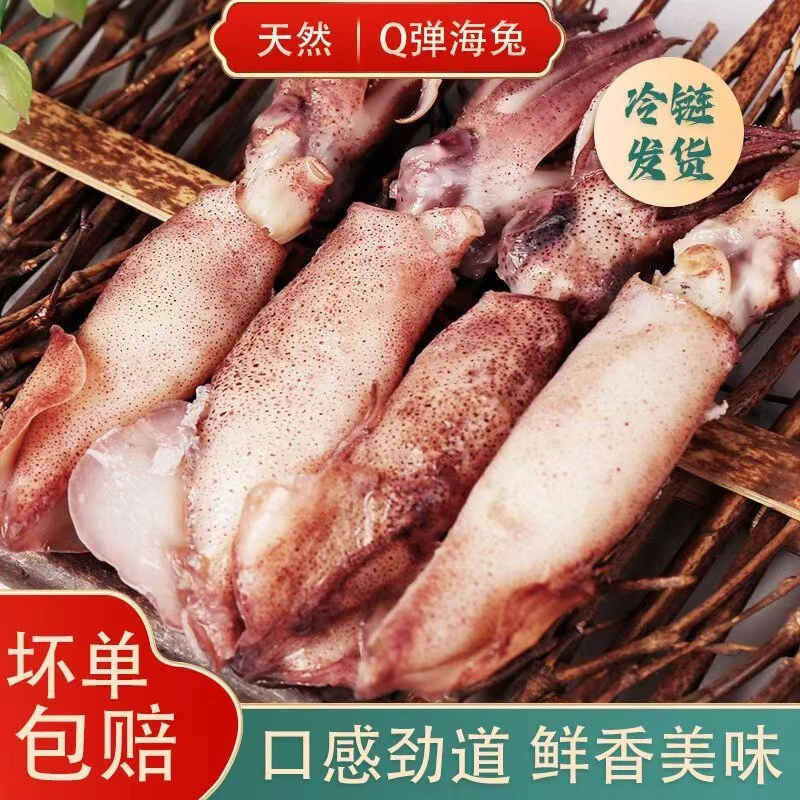 【陡姐】连云港发货大号海兔笔管鱼乌子新鲜无沙冷冻发货,及时取件