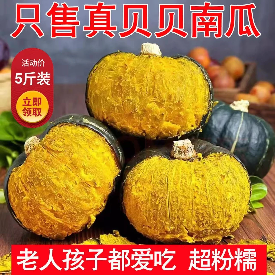 【粉糯香甜】正宗真贝贝小南瓜板栗味婴儿辅食老南瓜粉糯香甜包邮