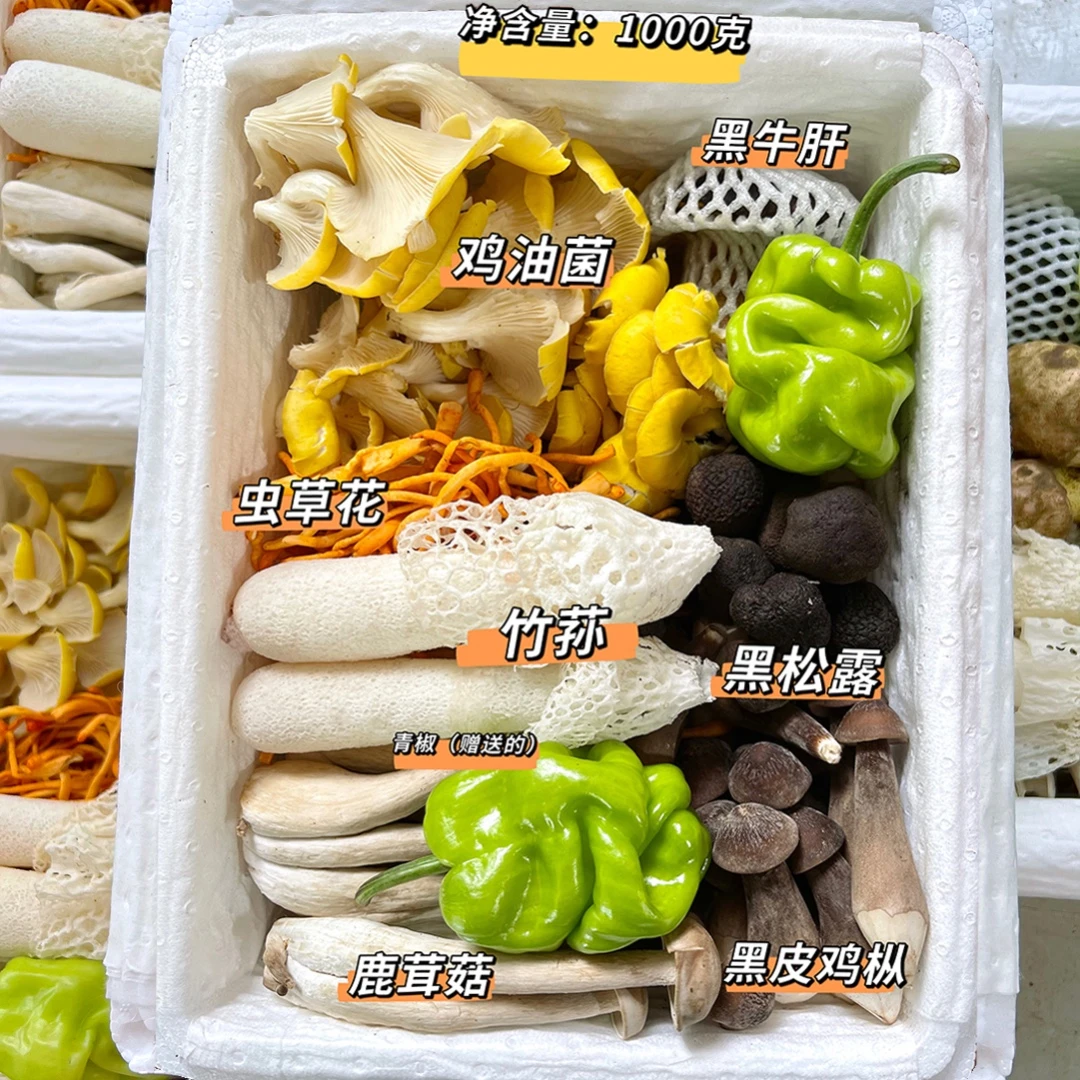云南直发 七彩新鲜菌子组合 顺丰空运 菌菇蘑菇 煲汤火锅食材