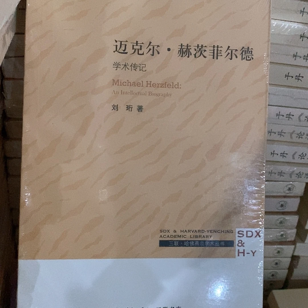 迈克尔   学术专传记……