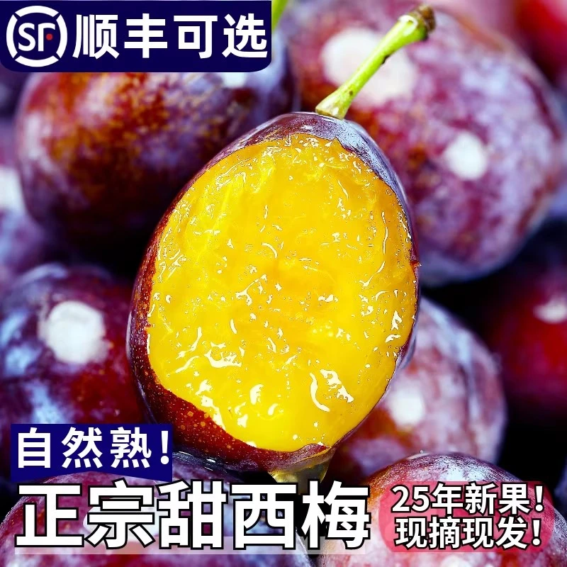 【次日达新疆喀什西梅】顺丰包邮西梅新鲜蓝蜜法兰西脆甜水果当季西梅西梅