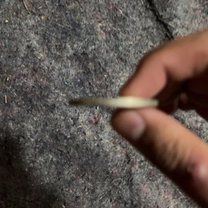 瓷片好的我知道了这个