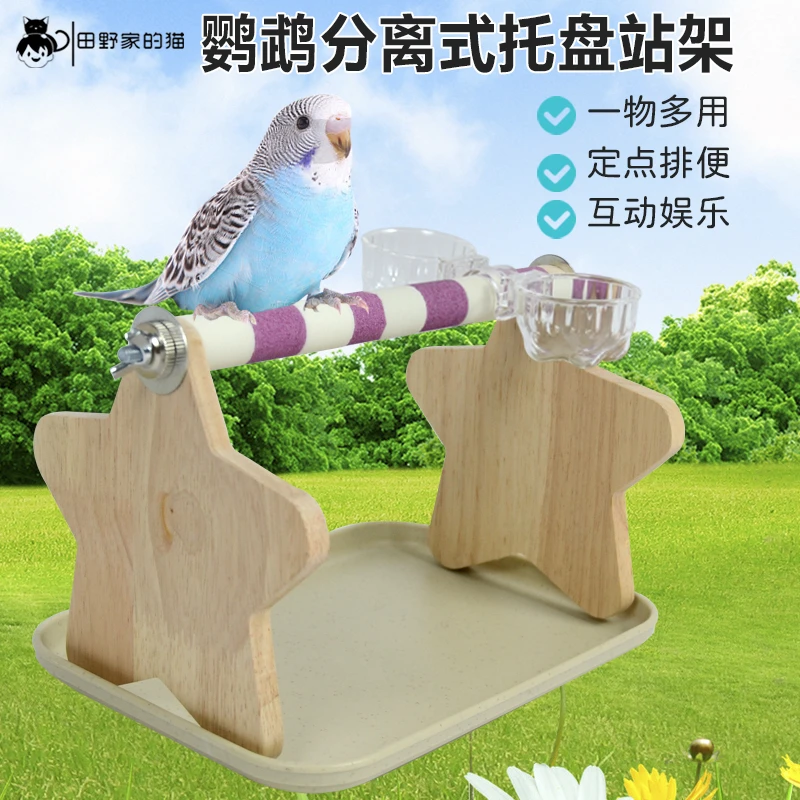 鹦鹉定点排便站架桌面落地站台玄凤牡丹虎皮专用磨砂站架站杆棒