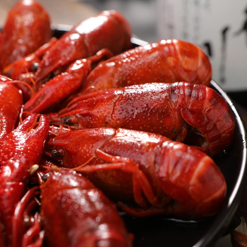 原只活冻清水小龙虾4斤 温水清洗锁鲜非活发 加热即食2025年新虾