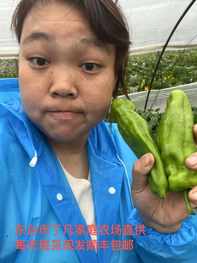 家庭农场直供蔬菜礼包