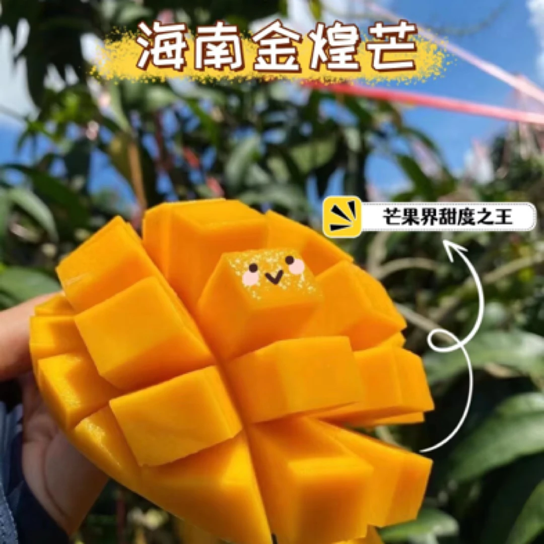 【V嘉精选】海南金煌芒一箱二斤左右金煌芒