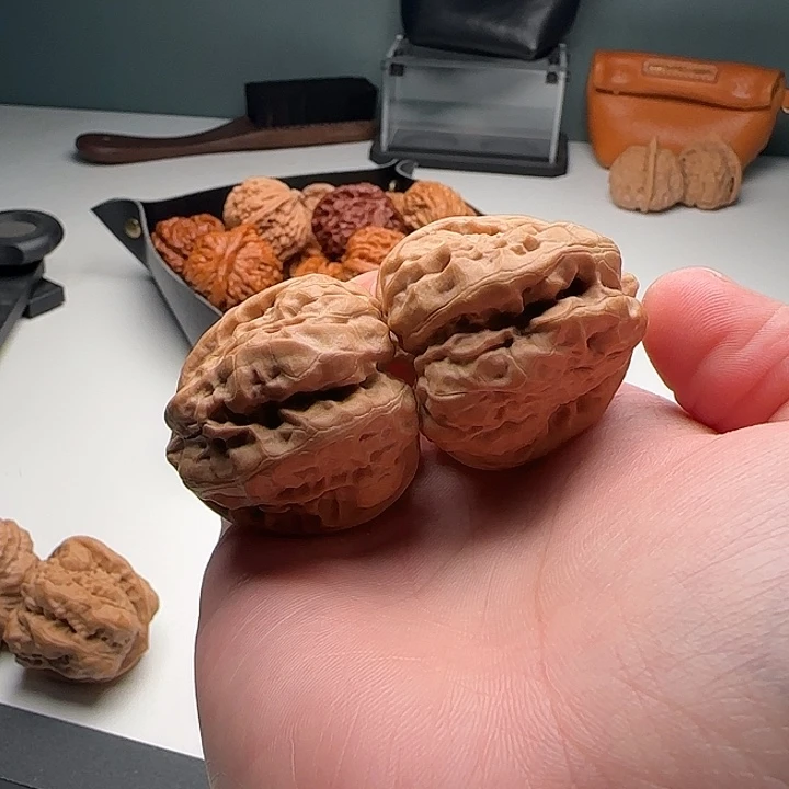 36-42-34肌肉蛙八腿四开背18号