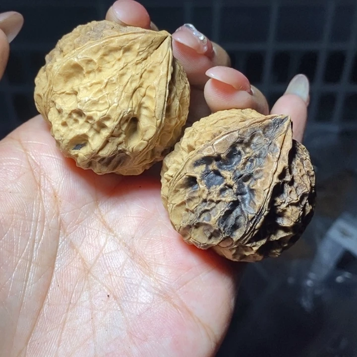 核桃云南野生铁核桃37号38mm