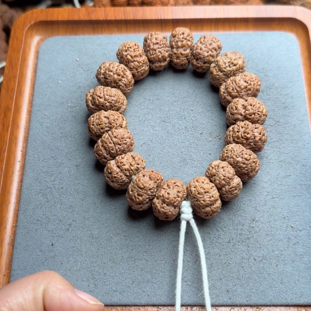 菩提菩提20号尼泊尔大金刚22蜂王夹板