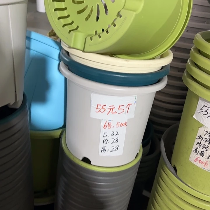 微瑕6#口径32无托果绿5个