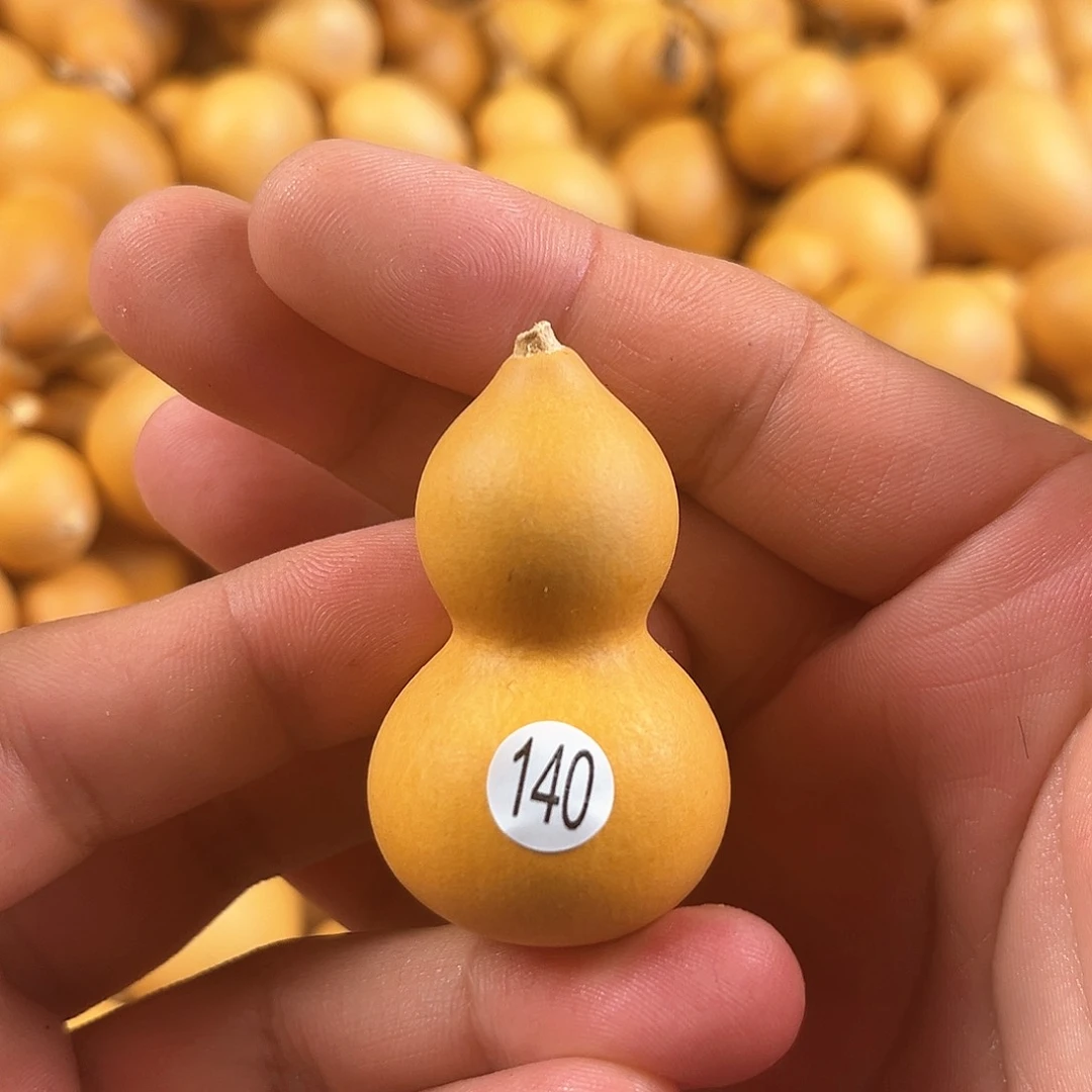 一葫芦葫芦葫芦葫芦葫芦140