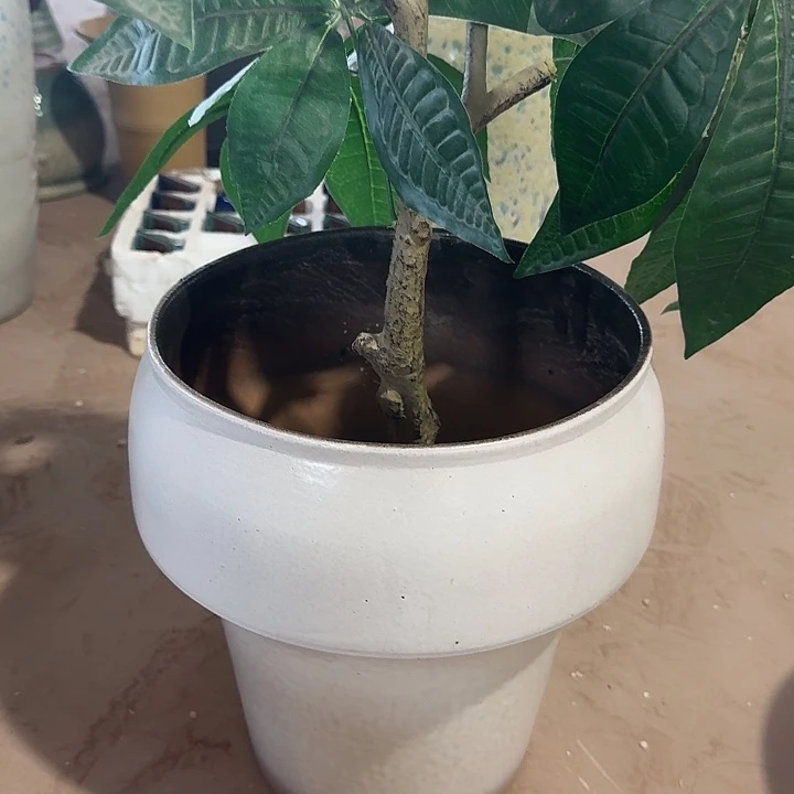 口径22高度27花盆白色火锅