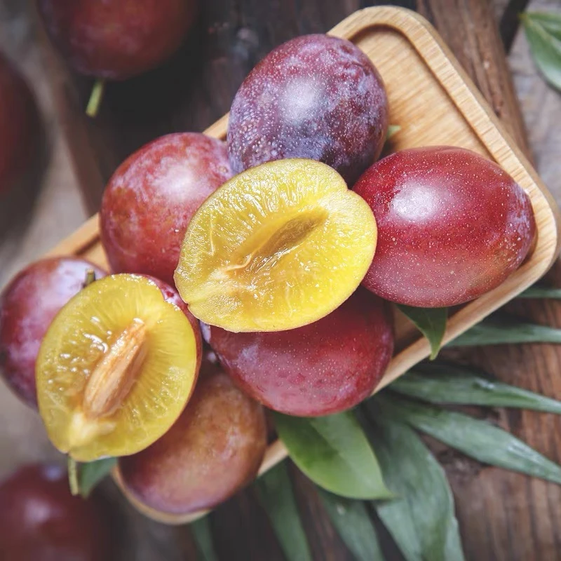 【全爸甄选】新疆法兰西西梅当季新鲜水果现摘现发清甜爽口整箱包邮