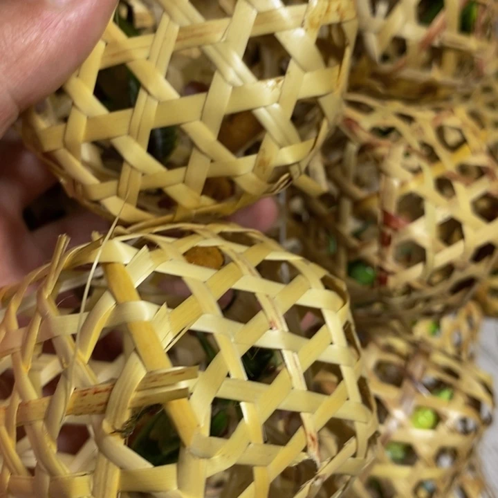 狼牙山野生山青绿蝈蝈2
