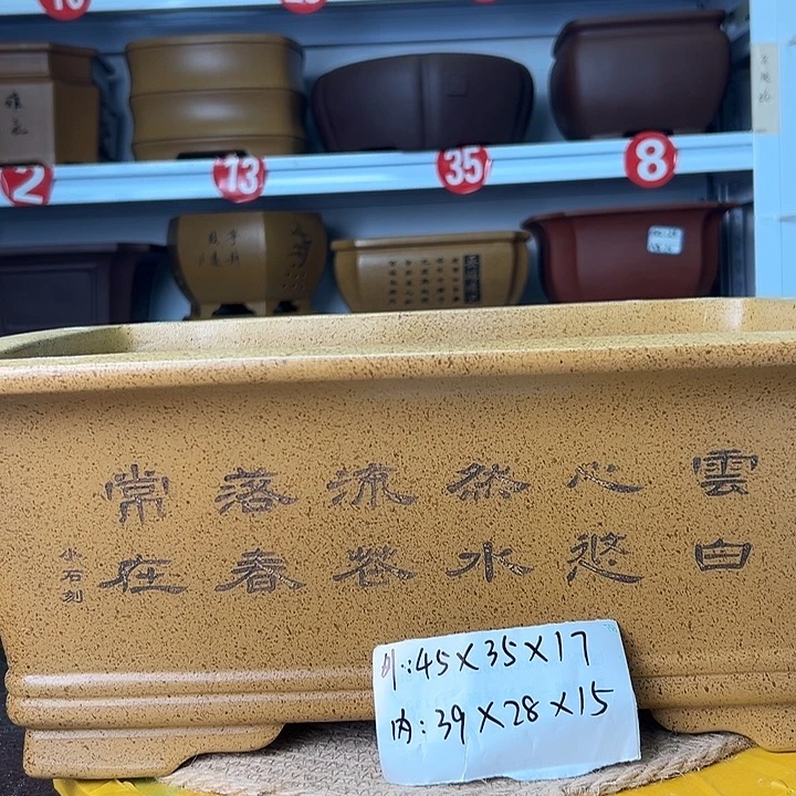 花盆紫砂蛇年大吉
