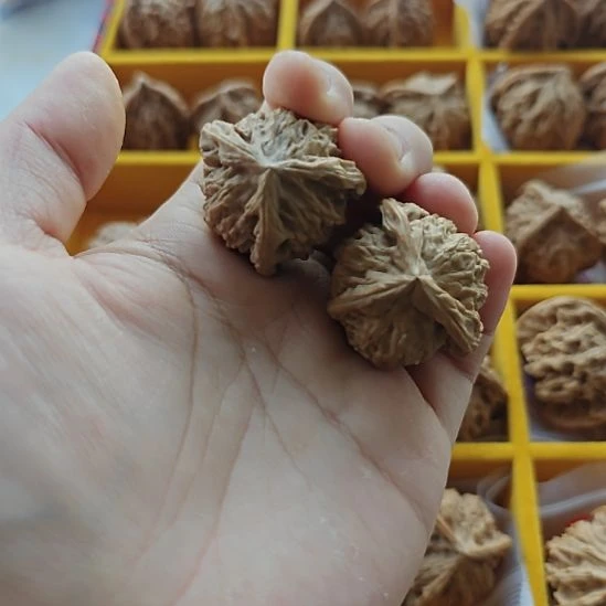 吊坠文玩核桃盘山三棱