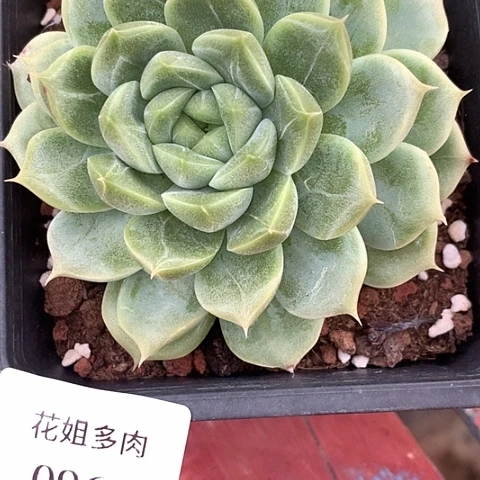 王***王0965一颗888888888
