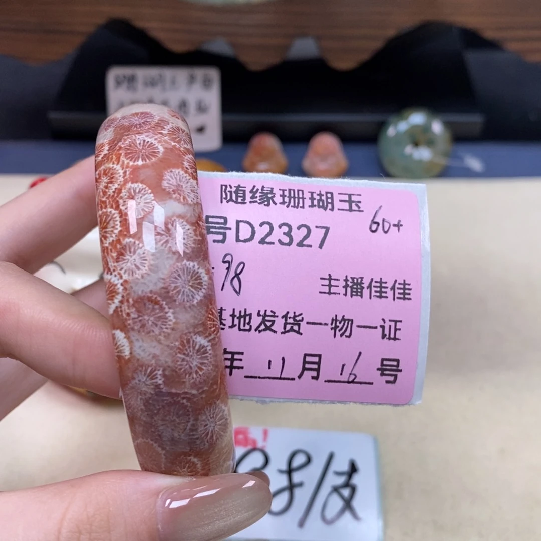 未镶嵌D2327硅化珊瑚（珊瑚玉）中*