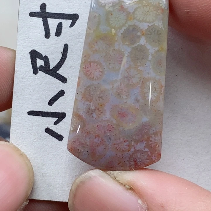 颈饰未镶嵌硅化珊瑚（珊瑚玉）