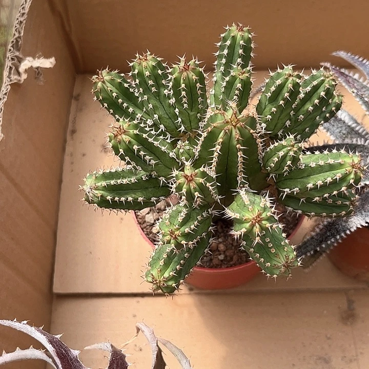 ?****?我在外面吃饭了哈哈哈哈