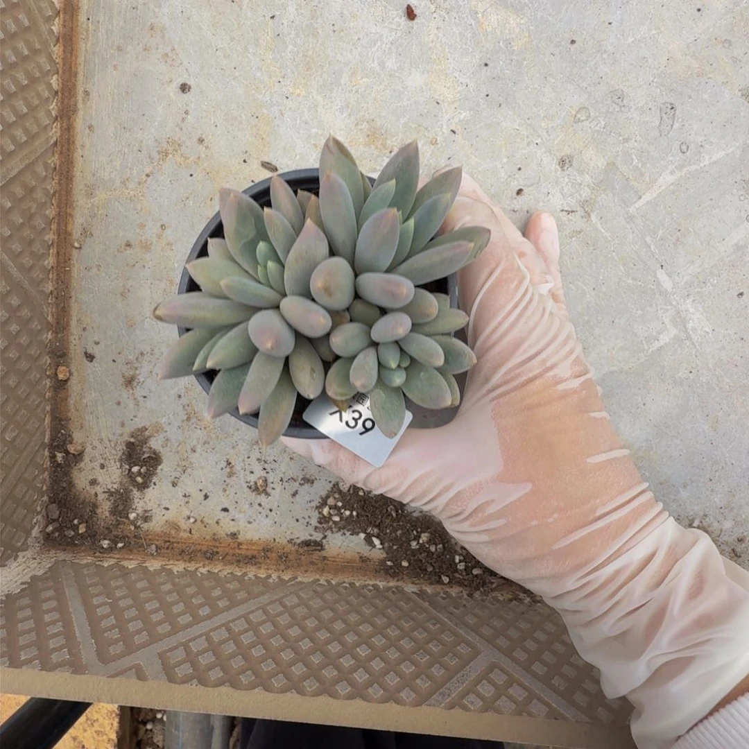 x x x x x x x x 39