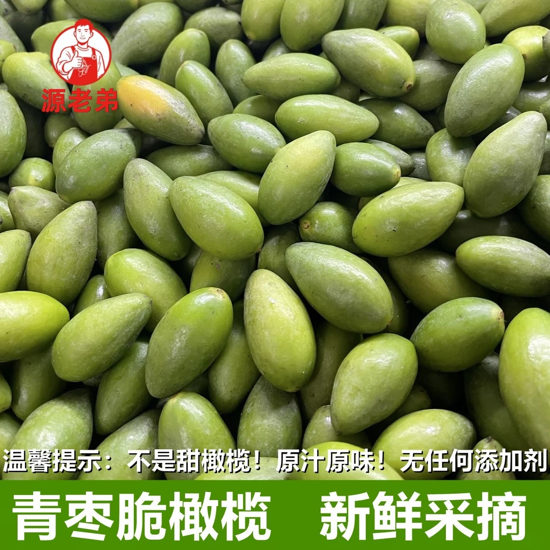 金灶青枣脆橄榄新鲜采摘可生吃煲汤的橄榄当季水果