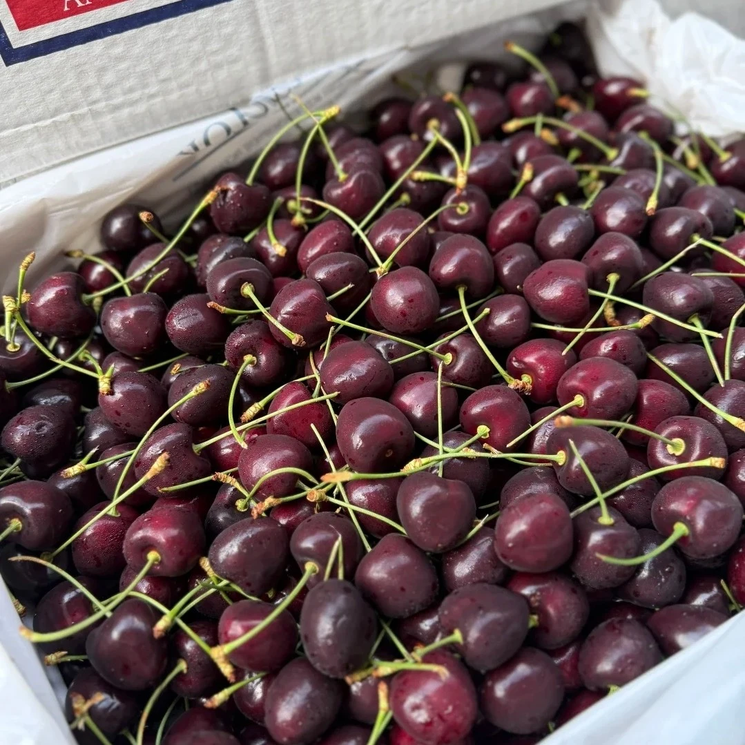 【爆品福利】3J美国车厘子500g科迪亚美国