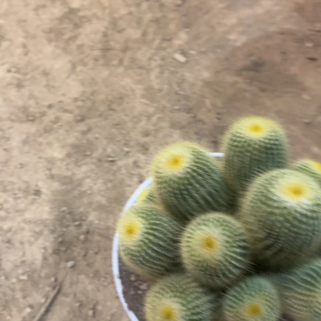 尢***晞瑕疵。 可口可乐可口可乐