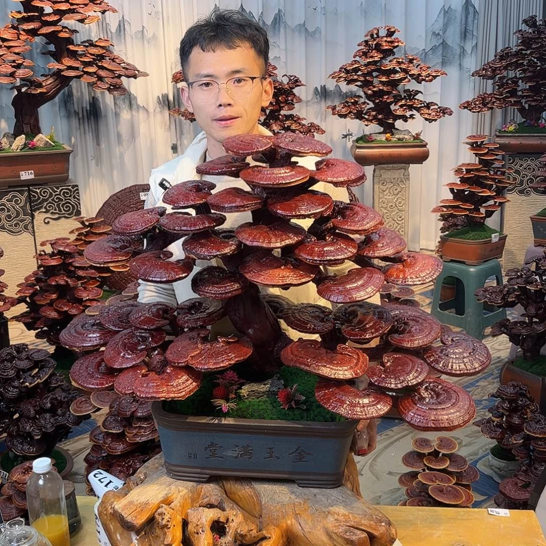 无花朵58888888888