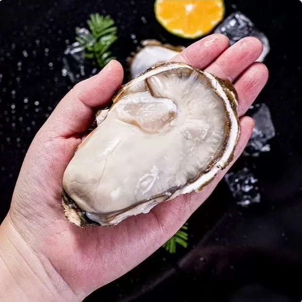 2.5+乳山精品生蚝1个（1斤大概4个）