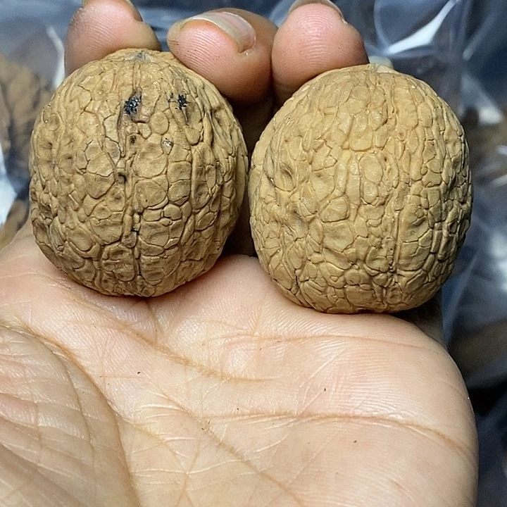 把件文玩核桃云南铁核桃68