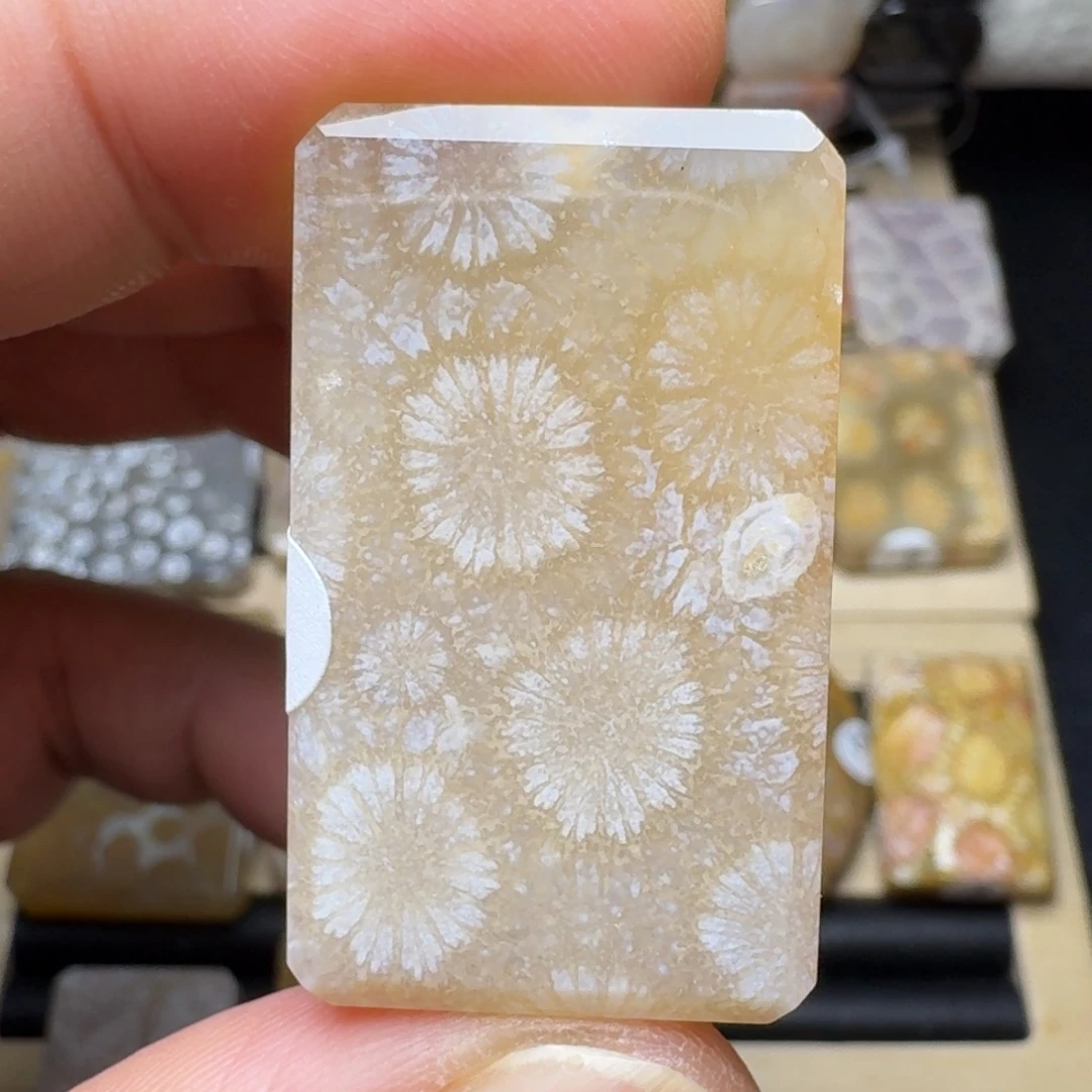 硅化玉未镶嵌纯天然色有机玉石保真色