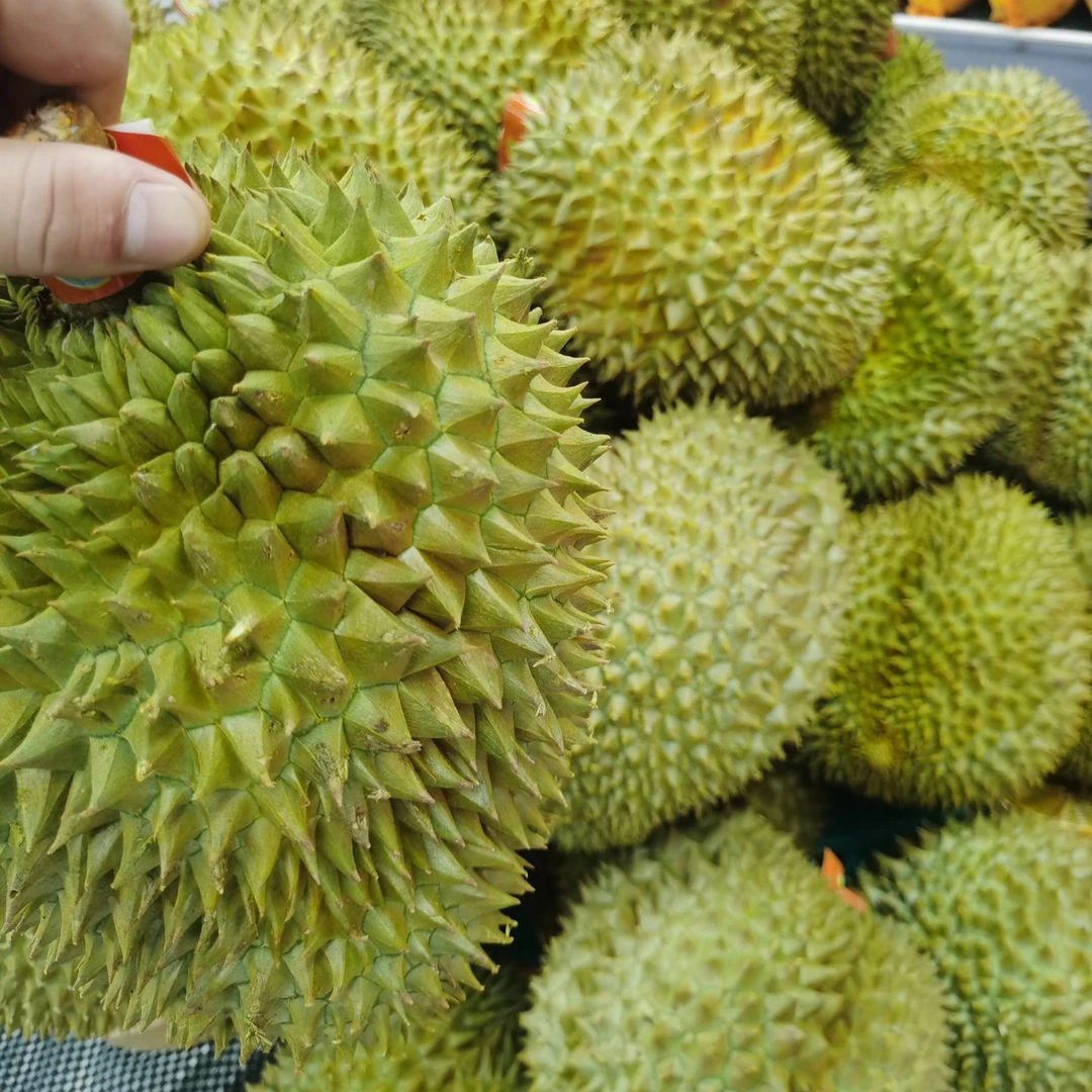 新鲜金枕榴莲/（核小）一果一重榴莲同城配金枕泰国